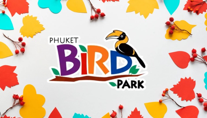 PHUKET BIRD PARK WITH TICKETS PRIVATE PICK UP AND DROP PHUKET HOTEL